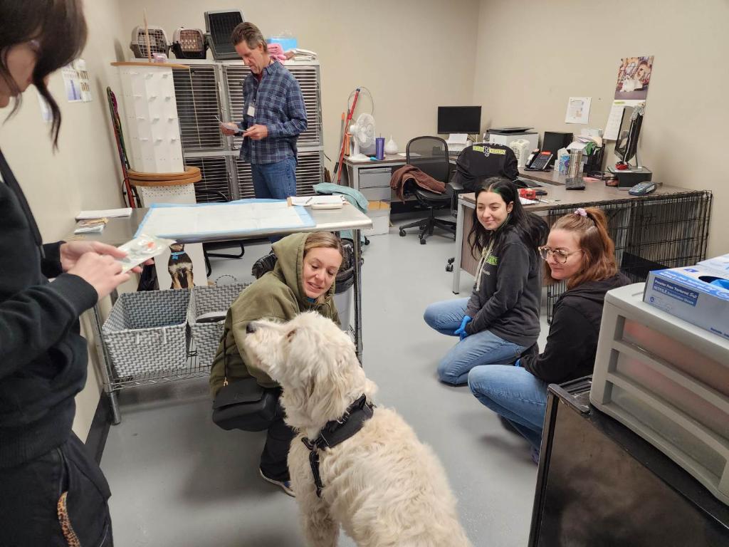 Pop up Microchip and ID Tag Clinic at Nevada SPCA Center
